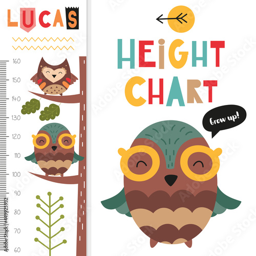 Kids meter wall height with cute owls. Heights for school, kindergarten, nursery design. Vector illustration.