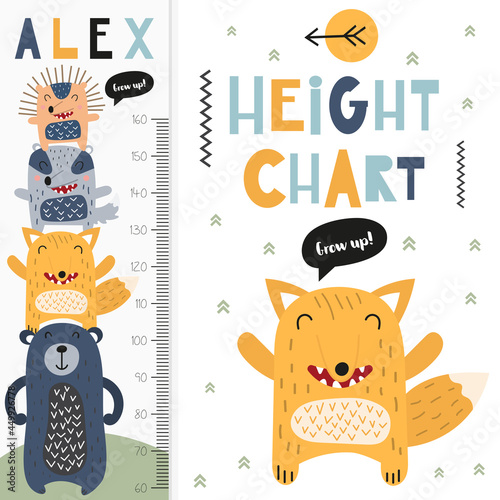 Kids height chart with cute forest animals. Heights for school, kindergarten, nursery design. Vector illustration. Fox, bear, badger, hedgehog.