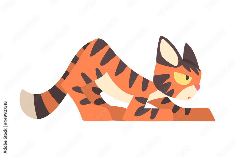 Tiger Character with Orange Fur and Black Stripes Preying Vector Illustration Tiger Character with Orange Fur and Black Stripes Preying Vector Illustration