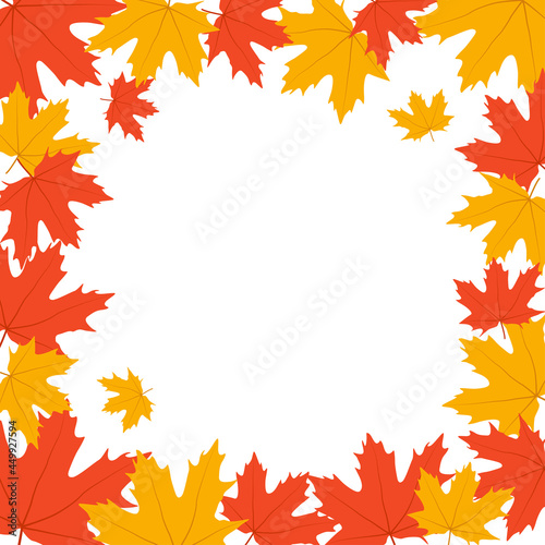Autumn leaves. Frame with fall maple leaves on white background