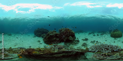 Coral garden seascape and underwater world. Colorful tropical coral reefs. Life coral reef. Philippines. 360 panorama VR