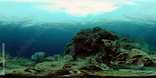 Fototapeta Naklejka Na Ścianę i Meble -  Colourful tropical coral reef. Hard and soft corals, underwater landscape. Philippines. Virtual Reality 360.
