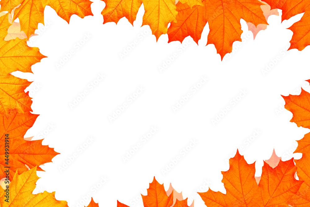 Bright colorful autumn leaves. maple Bright colorful autumn leaves. maple