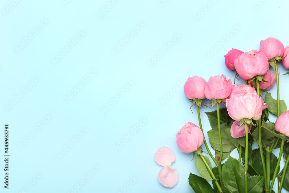 Fototapeta premium Beautiful peony roses on color background