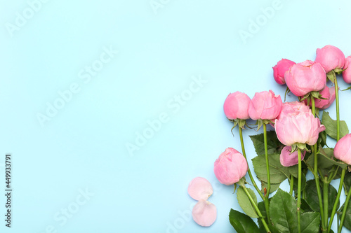 Beautiful peony roses on color background © Pixel-Shot