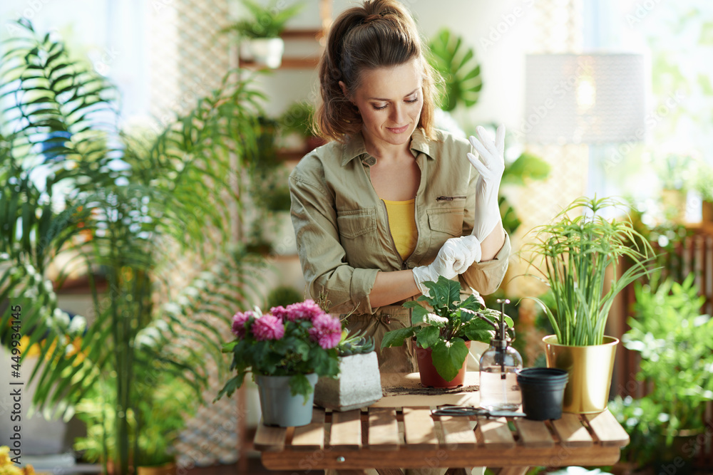 florist in rubber gloves at home in sunny day do gardening