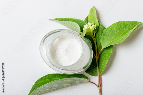 Women's cosmetics with natural ingredients. Means for face and body skin care. Eco-friendly tube of face cream on a white background with fresh herbs. Copy space, layout