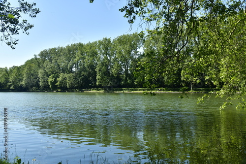 Le Grand Etang des Clabots en plein coeur de la forêt de Soignes à Auderghem photo