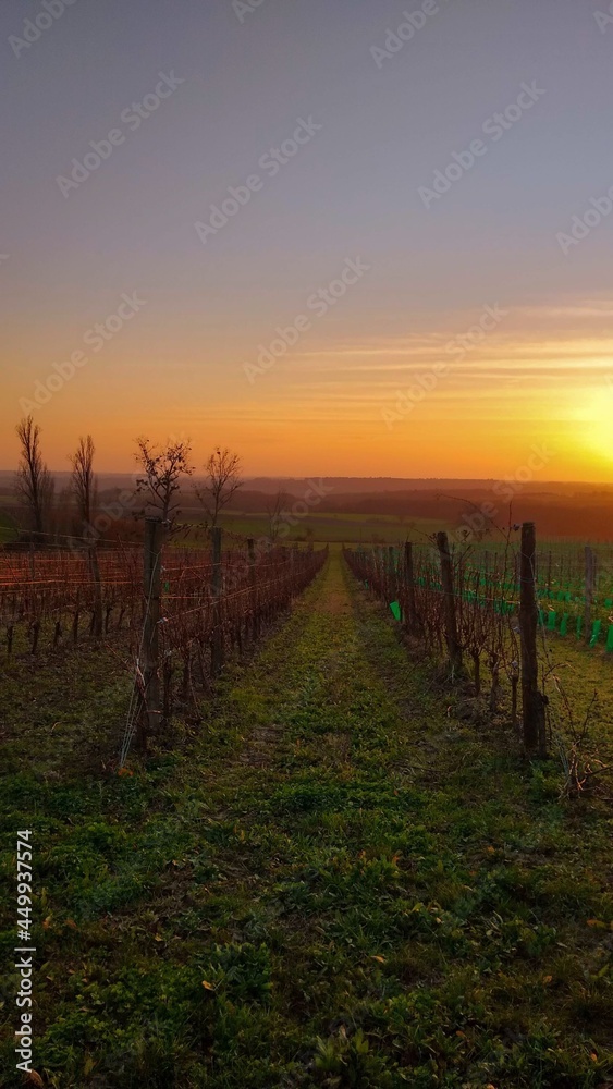 A Beautiful Winter Sunset in the Dordogne Region of France