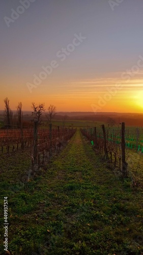 A Beautiful Winter Sunset in the Dordogne Region of France