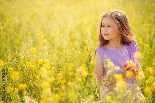 Cute little girl with a apple in a blooming canola field. © Stanislaw Mikulski