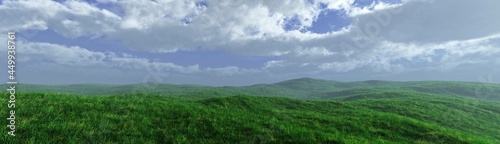 Summer meadow covered with green grass against the background of the sky with clouds after a thunderstorm  green hills  3D rendering