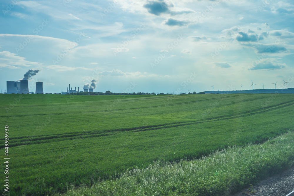 Snapshot from the The Aktiengesellschaft Cologne Zoological Garden in Cologne, SCENIC VIEW OF FIELD AGAINST SKY Snapshot from the The Aktiengesellschaft Cologne Zoological Garden in Cologne, SCENIC VIEW OF FIELD AGAINST SKY