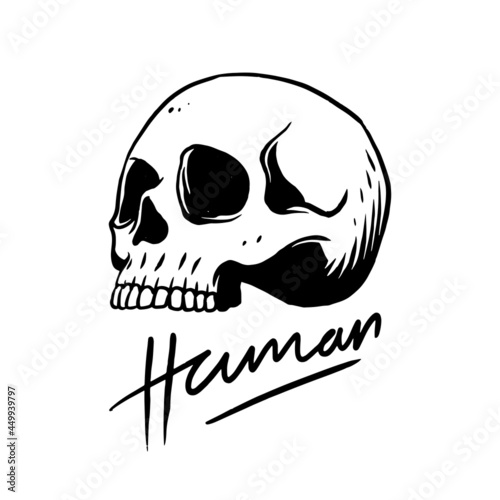 a hand-drawn illustration of a white head skull. a scary, dangerous, and warn vector illustration for pictogram, logo, or element design.