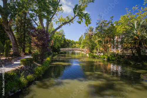 Aveiro city park landscape, Portugal.