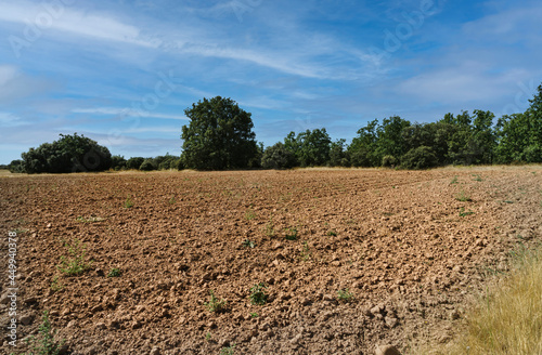 View of a field of land ready to be plowed and cultivated in the Castilla area, in Spain.