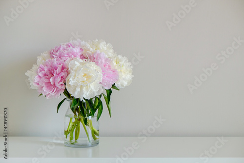 Studio shot of beautiful peony flowers in glass vase on a table over gray wall background with a lot of copy space for text. Feminine floral composition. Close up, backdrop.