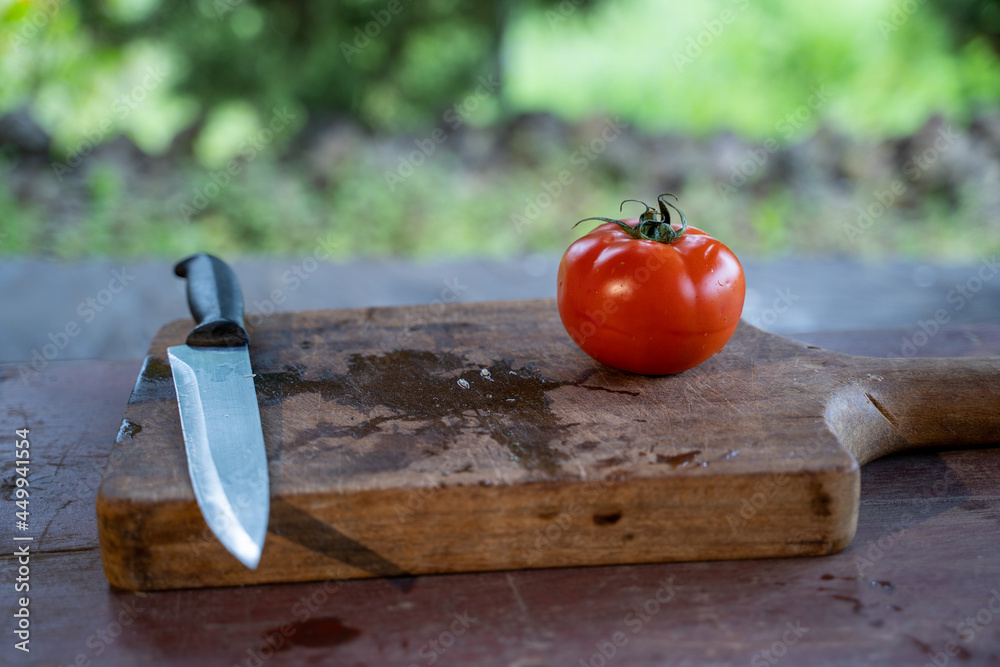 Mujer cocinando al aire libre, comida vegetariana Mujer cocinando al aire libre, comida vegetariana