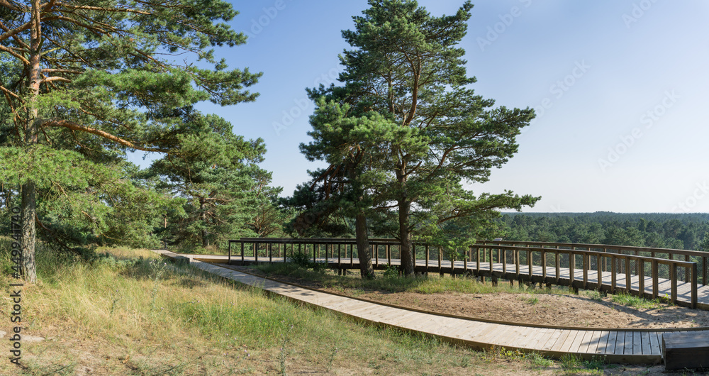 Fototapeta premium Wooden observation platform in Curonian Spit. Thin, curved sand-dune peninsula that separates the Curonian Lagoon from the Baltic Sea coast. Wooden duckboards. Warm summer day. Panoramic view.