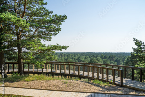 Wooden observation platform in Curonian Spit. Thin  curved sand-dune peninsula that separates the Curonian Lagoon from the Baltic Sea coast. Wooden duckboards. Warm summer day. Panoramic view.