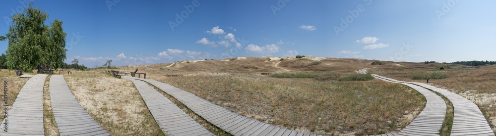 Curonian Spit. Thin, curved sand-dune spit that separates the Curonian Lagoon from the Baltic Sea coast. Wooden duckboards. Warm summer day. Panoramic view.