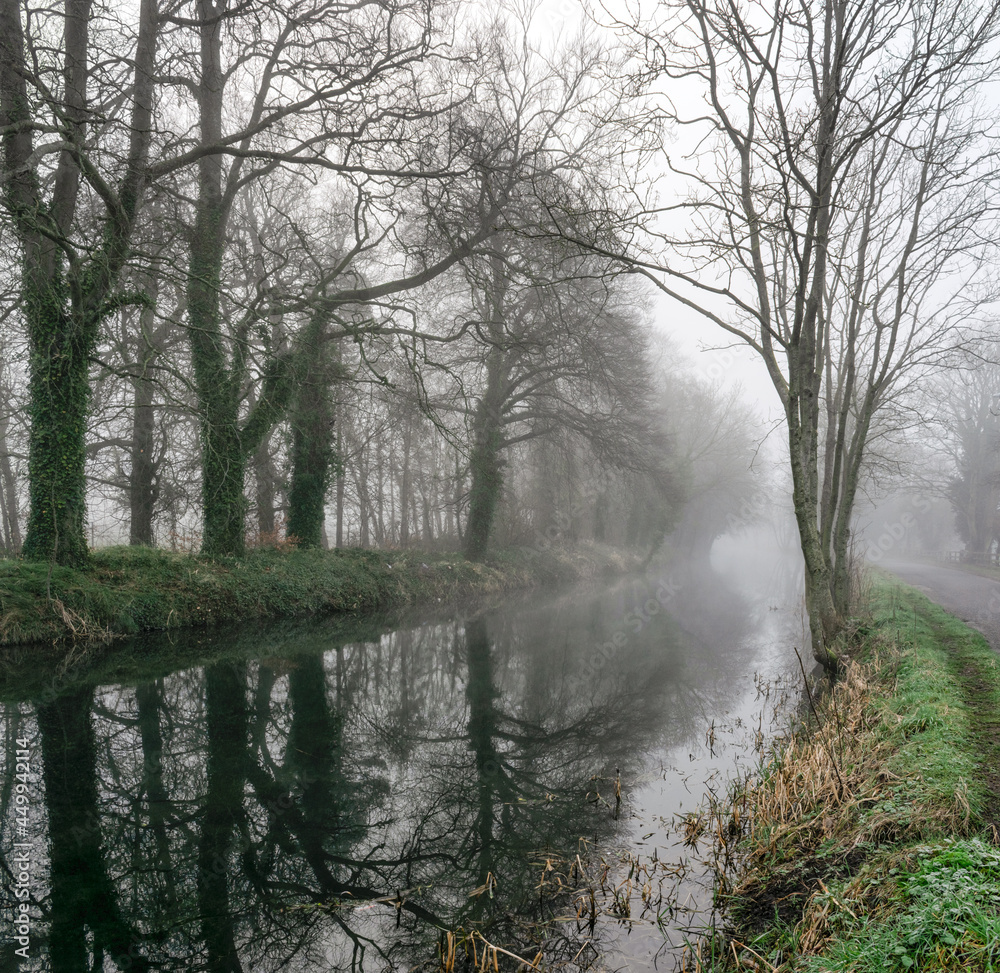 Obraz premium Foggy Sunrise at Canal in Ireland