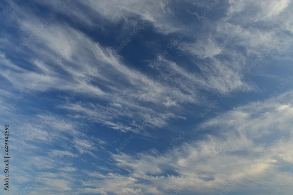 Fototapeta premium Summer skies, Jersey, U.K. Cirrus clouds.