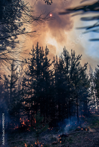 Forest brigade members fight a fire in Argentine Patagonia.
