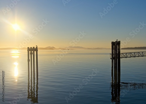 Spectacular view of Sidney BC shore at the sunrise © pr2is