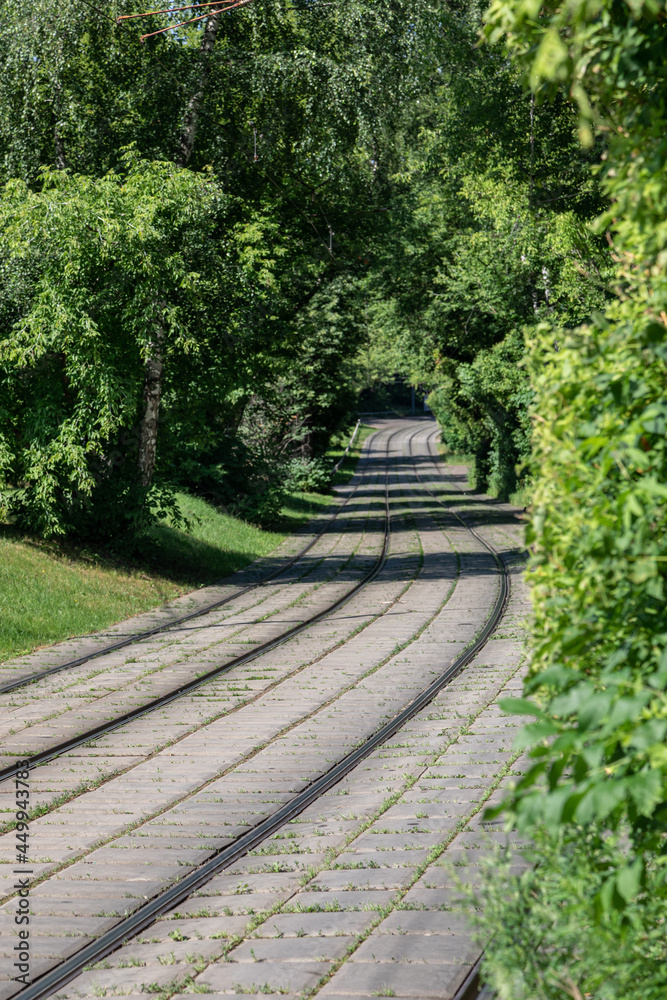 The tram rails blurs in the distance. Endless curved railway on concrete slabs with sprouted grass. Green arch of trees closes over the railroad. Railway disappears into the distance