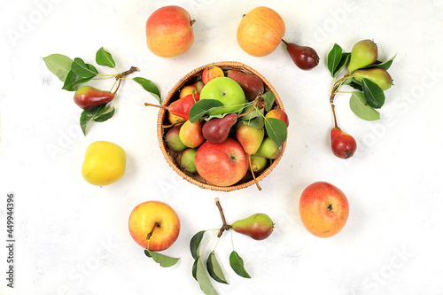 Autumn composition of apples and pears on a sunny table  thanksgiving background  harvesting  healthy natural food concept  detox diet and body cleansing  banner for screen  cafe  restaurant 