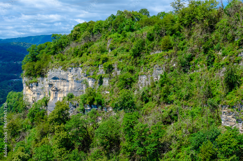 gray-brown mountain cliffs close-up in summer among green plants