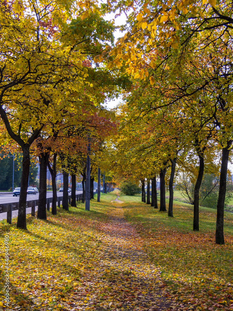 Naklejka premium Autumn park alley bench autumn landscape