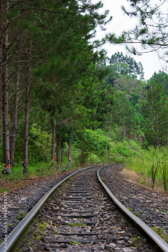 The train line and the surrounding Atlantic forest in the state of São Paulo, Brazil