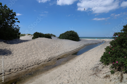 Stream running into the sea at the Gilleleje beach photo