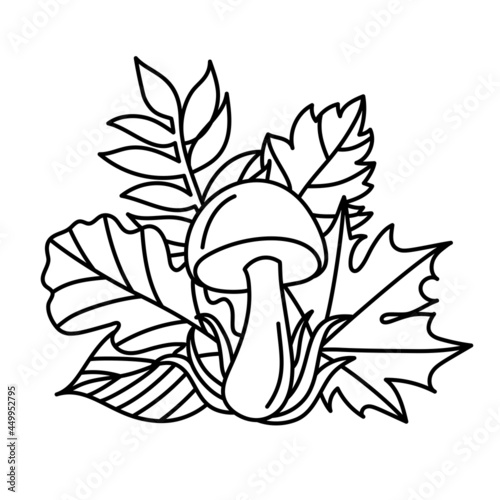 Mushroom with autumn leaves in a line art style.