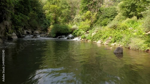 Low, slow flight over a mountain river upstream. Wildlife In Bulgaria. Blue cold water of a mountain river.