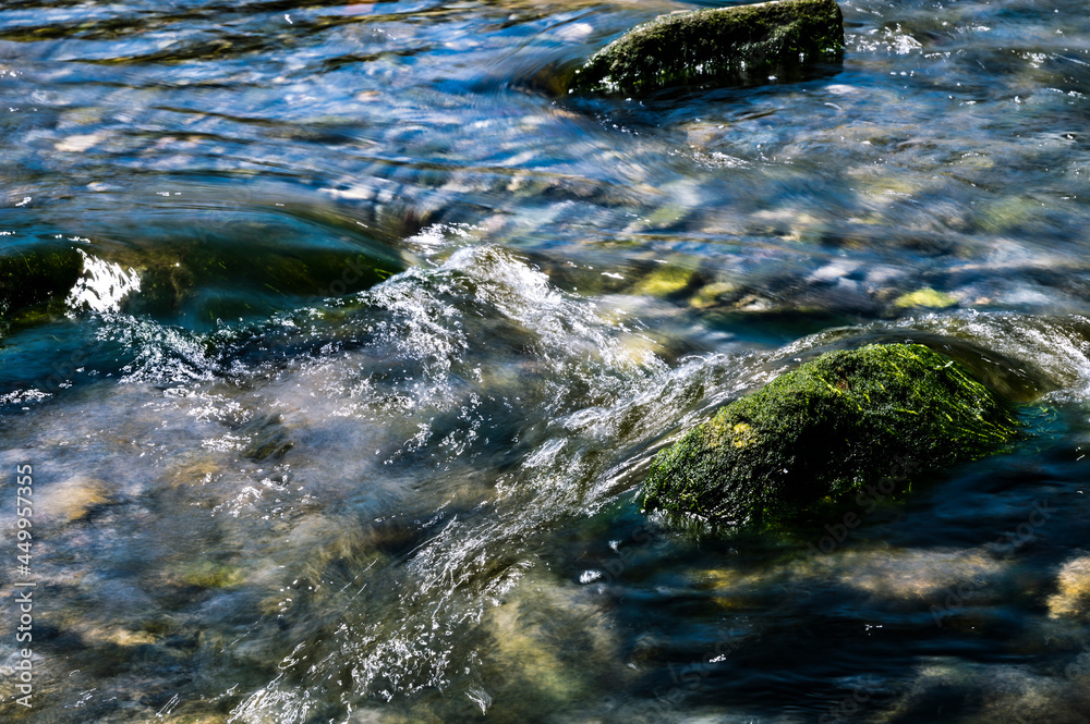 Obraz premium 須崎川のせせらぎ