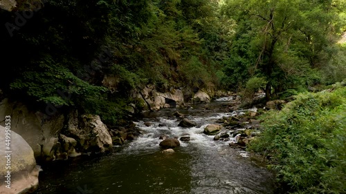 Low, slow flight over a mountain river upstream. Wildlife In Bulgaria. Blue cold water of a mountain river.