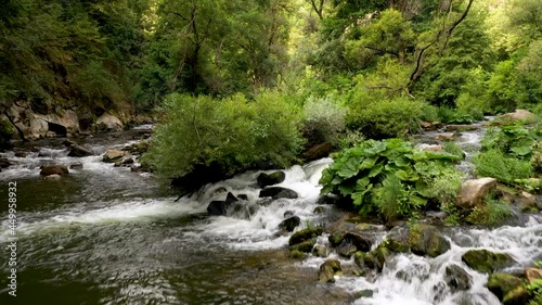 Low, slow flight over a mountain river upstream. Wildlife In Bulgaria. Blue cold water of a mountain river.