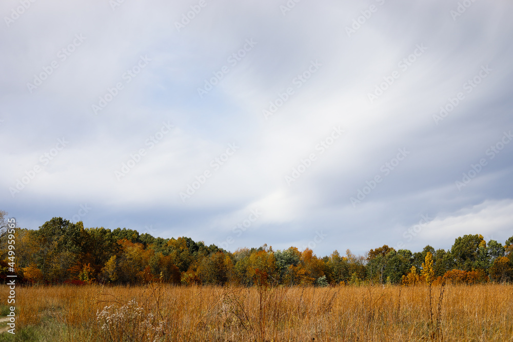Autumn Fields of grain and trees Autumn Fields of grain and trees