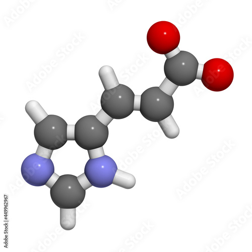 Urocanic acid molecule. Breakdown product of histidine. 3D rendering.