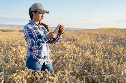 Young woman agronomist checks growth of wheat in field. Farmer takes notes on tablet. agro business concept. High quality photo. photo