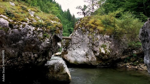 Low, slow flight over a mountain river upstream. Wildlife In Bulgaria. Blue cold water of a mountain river.