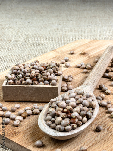 pigeon pea or tuvar beans or guandu bean (Cajanus cajan) seeds in ceramic bowl on the wooden table in Brazil photo