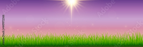 Illustrated background with grass border and sunlight against dusk sky. Illustrate sky scene.