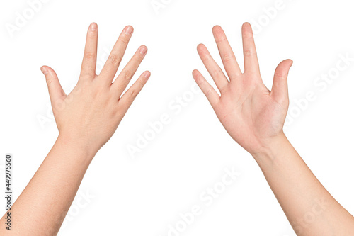 Woman hands showing( front and back)  isolated on white background 