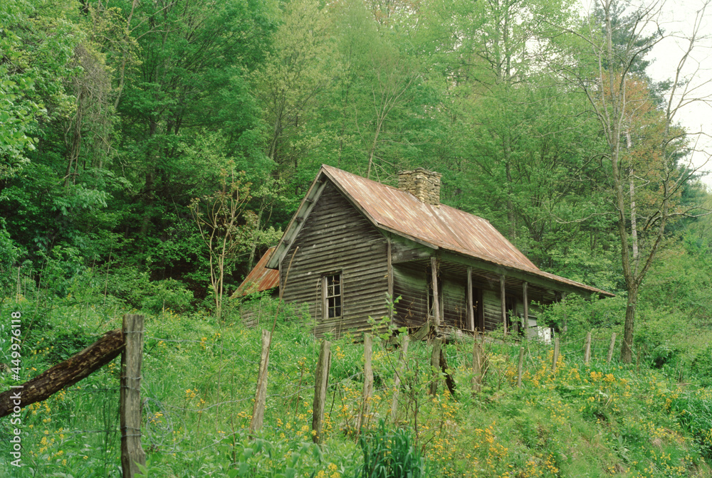 Old Log Cabin, North Carolina