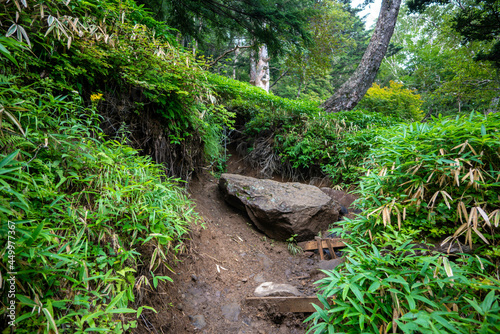                                                           A view of climbing Mt.Nantaisan in Nikko City  Tochigi Prefecture.