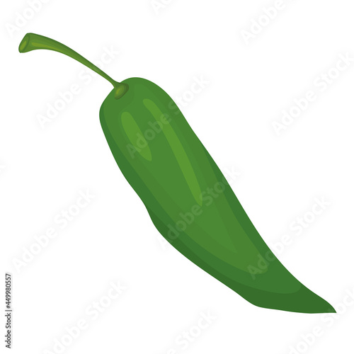 green chilly pepper